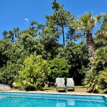 Douceur Des Pins לינה וארוחת בוקר 3*