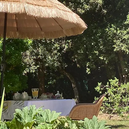 לינה וארוחת בוקר Douceur Des Pins 3*