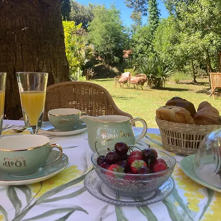 לינה וארוחת בוקר Douceur Des Pins 3*