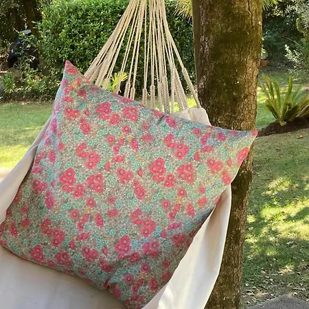 Douceur Des Pins לינה וארוחת בוקר סן-טרויאן-לה-באן