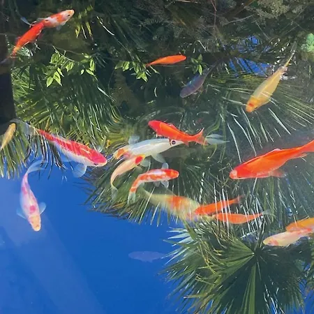 לינה וארוחת בוקר Douceur Des Pins 3*