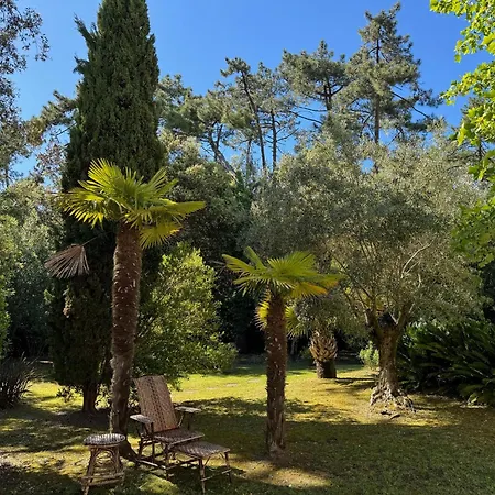 Douceur Des Pins Frühstückspension Saint-Trojan-les-Bains