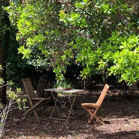 לינה וארוחת בוקר Douceur Des Pins