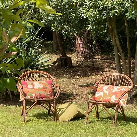 Douceur Des Pins לינה וארוחת בוקר סן-טרויאן-לה-באן