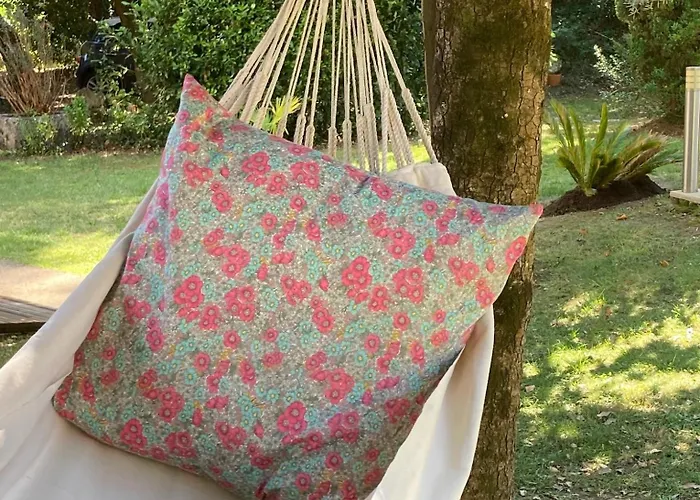 Douceur Des Pins 住宿加早餐酒店 圣特罗让莱班