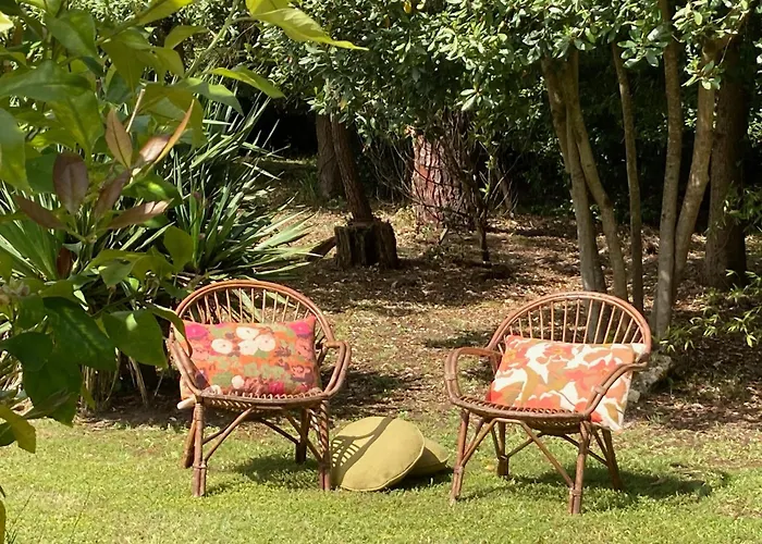 Douceur Des Pins 住宿加早餐酒店 圣特罗让莱班